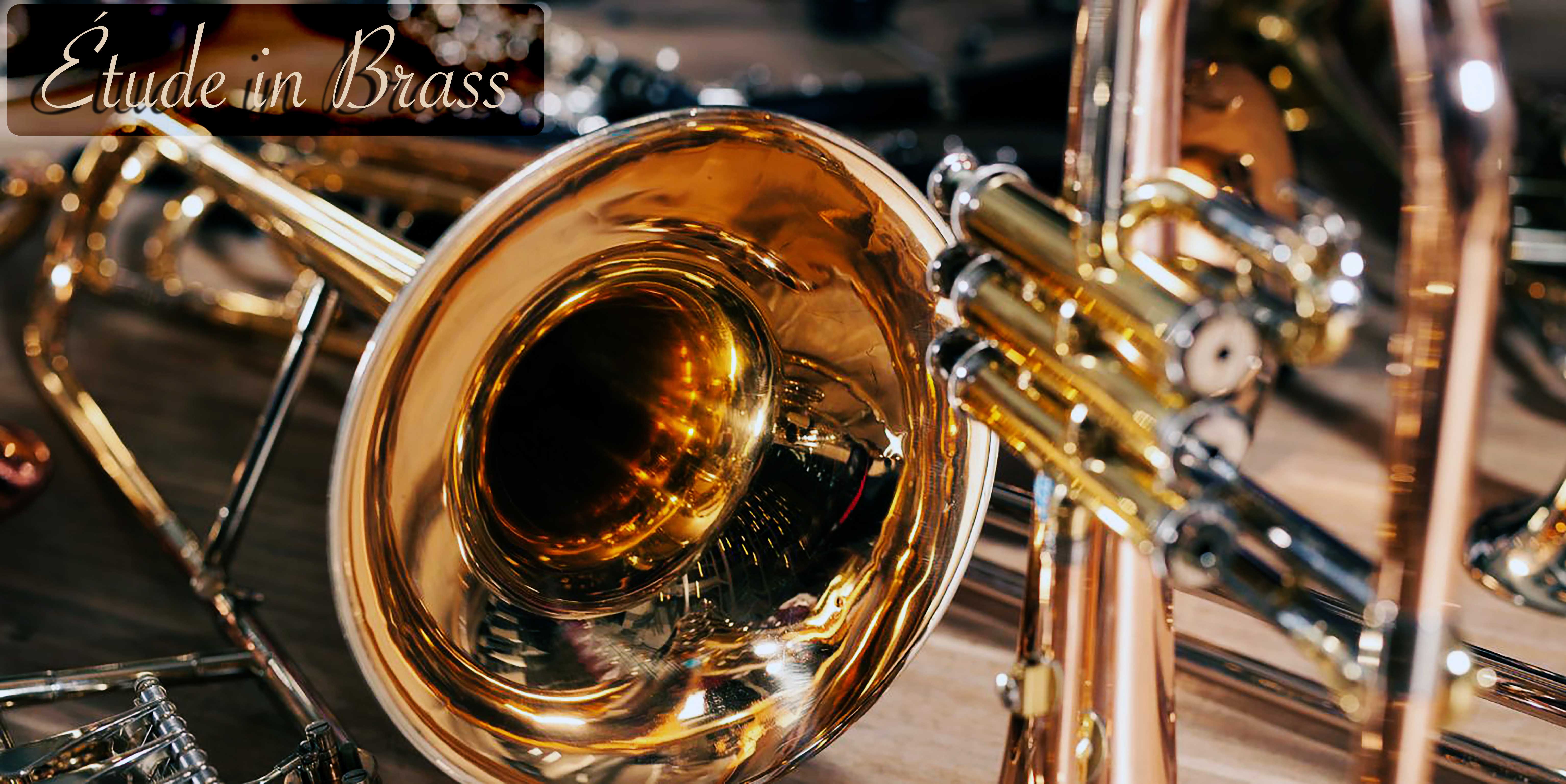 My Journey with the Trumpet: Étude for Trumpet – Andante (Inspiration ...